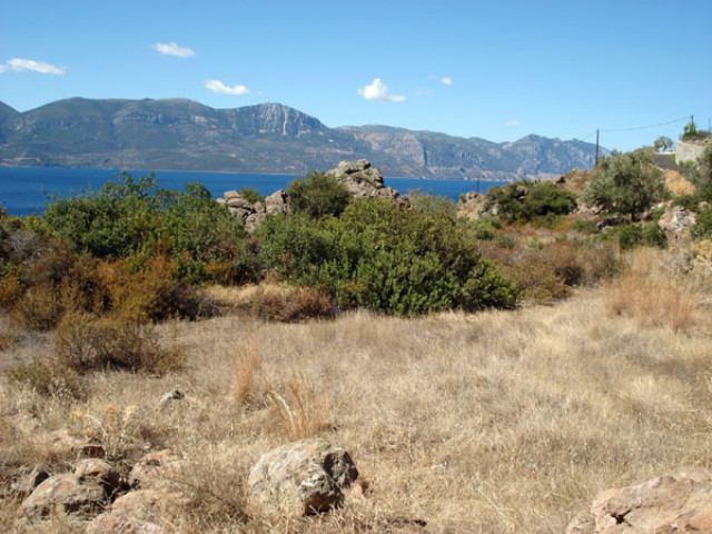 Traumgrundstück auf Methana / Griechenland - Immobilien - Troisdorf