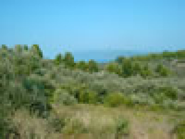 Grundstück mit Meeresblick auf dem Pilion / Griechenland - Immobilien - Troisdorf