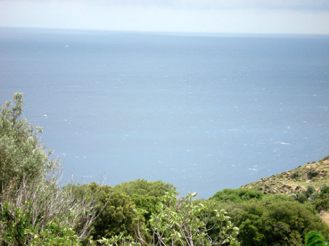 Schönes Baugrundstück auf Evia / Griechenland - Immobilien - Troisdorf