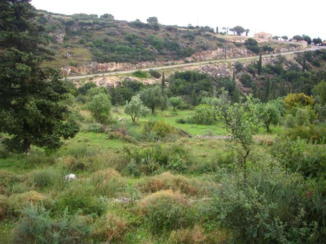 Unser Angebot auf der Insel Zante/Griechenland - Immobilien - Zante