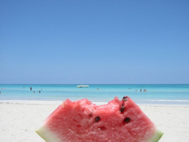 Nebentätigkeit - Stellenmarkt - Wolfenbüttel