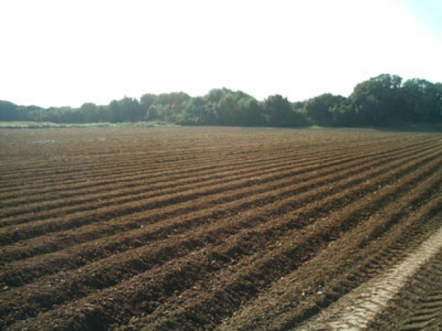 Schönes Grundstück direkt am Meer / Griechenland - Immobilien - Troisdorf