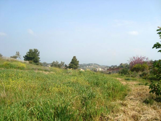 Unser Angebot nahe der Ortschaft /Markopoulou/Oropou bei Athen/Griechenland - Immobilien - Troisdorf