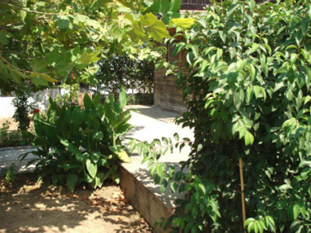 Einfaches Holzhaus nahe der Ortschaft Traganas / Griechenland - Immobilien - Traganas