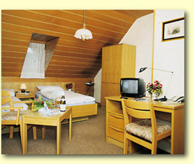 Monteuerzimmer preiswert in Barsinghausen - Hobby Spiele - Barsinghausen
