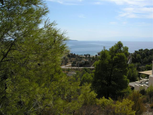 Baugrundstück mit Meerblick nahe Porto Heli/Griechenland - Immobilien - Portoheli