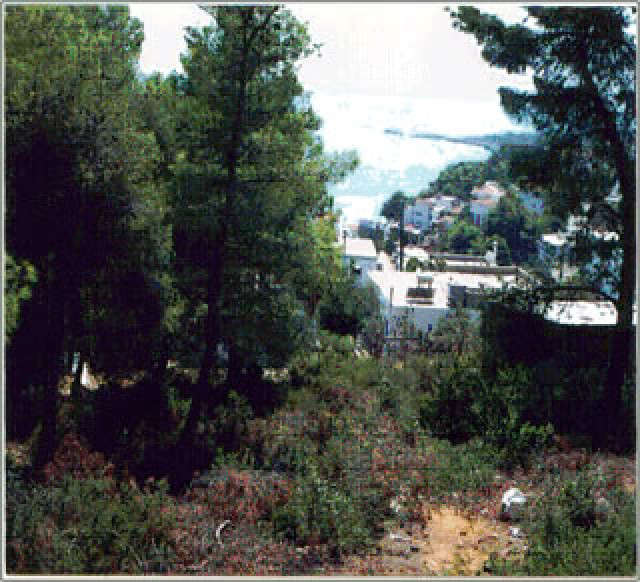 Grundstueck auf der Insel Alonissos/Griechenland - Immobilien - Troisdorf