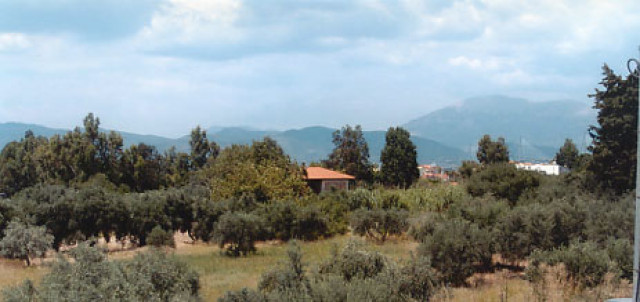 Gewerbegruendstück bei Patras / Griechenland - Immobilien - Troisdorf