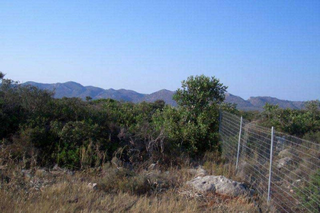 Unser Angebot auf der Insel Kreta/Griechenland - Immobilien - Kreta