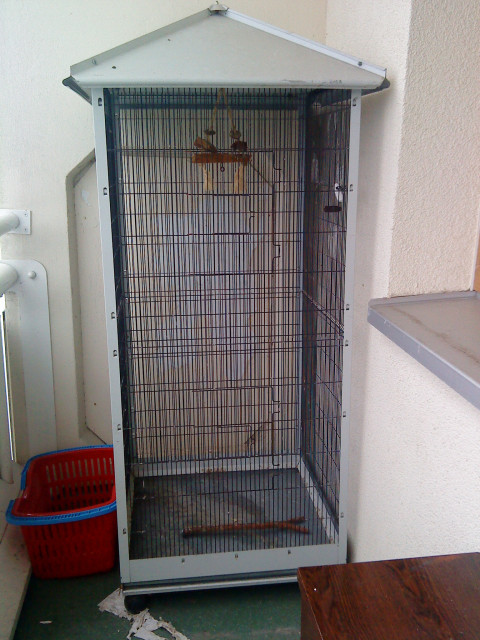 Vogelvoliere - Tiere - Eberswalde