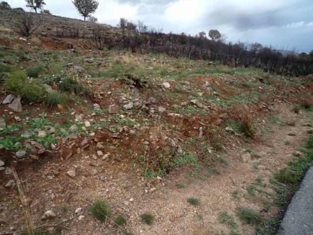 Ein großes Grundstück bietet zahlreiche Optionen/Griechenland - Immobilien - Gythion